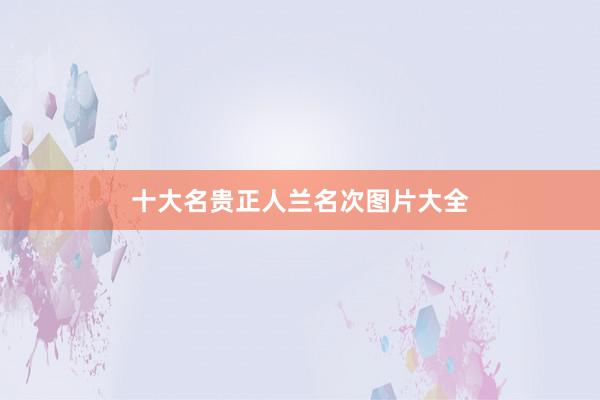 十大名贵正人兰名次图片大全