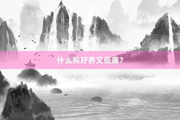 什么狗好养又低廉？