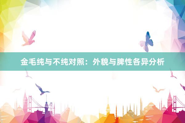 金毛纯与不纯对照：外貌与脾性各异分析